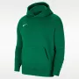 Nike Park 20 Fleece Pullover Hoodie Kieferngrün CW6896-302