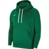 Nike Park 20 Hoodie Pine Green CW6957 302 Herren Fleece Pullover
