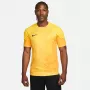 Nike Dri-FIT ADV Gardien IV Herren-Torwarttrikot Opti Yellow/Schwarz M