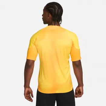 Nike Dri-FIT ADV Gardien IV Herren-Torwarttrikot Opti Yellow/Schwarz M