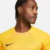 Nike Dri-FIT ADV Gardien IV Herren-Torwarttrikot Opti Yellow/Schwarz M