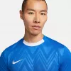 Nike Herren Dri-FIT Challenge V Trikot Kurzarm Blau FD7412-463 Größe S