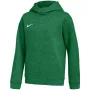 Nike Park 26 Fleece Kapuzenpullover Kinder Grün IB1226 302 S