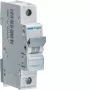 Hager MBN132E 32A 1-poliger 6kA B-Charakteristik Leitungsschutzschalter