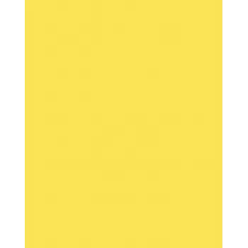 Folia 614/50 12 Gelber A4 Karton 300 g/m² 50 Blatt