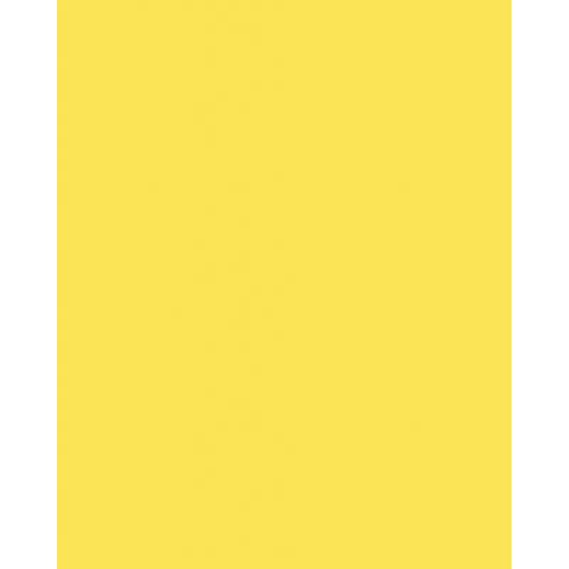 Folia 614/50 12 Gelber A4 Karton 300 g/m² 50 Blatt