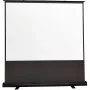 Reflecta Portable Bodenleinwand 226x200 cm 100 Zoll 16:9
