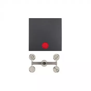 Berker 1621 16 06 Wippe mit Kontrolllicht und Linsen, B.1/B.3, Anthrazit