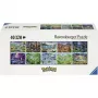 RAVENSBURGER Pokémon Celebration Journey 40000-Teile Puzzle