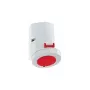 BALS 1155 Wandsteckdose 32A 5-polig 400V 6h IP67 Rot/Grau