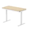 LogiLink Sitz-Steh-Schreibtisch, Einzelmotor, 118x60cm, mit kabellosem Laden, Weiß