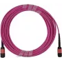 BlueOptics MPO/UPC auf MPO/UPC OM4 Multimode-Faser-Trunk-Kabel, 12 Fasern, Typ B Polarität, 5m, LSZH, Infortrend-kompatibel