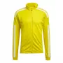 adidas Squadra 21 Training Yellow GP6465 S Herren-Sweatshirt
