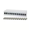 LogiLink NK4093 Desktop-Patchpanel Cat.6A, 12 Ports, Hellgrau (RAL 7035), geschirmt, schraubenloser Stahl