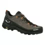 Salewa Alp Trainer 2 GTX Herren-Wanderschuhe Bungee Cord/Schwarz UK 7.5 (EU 41)