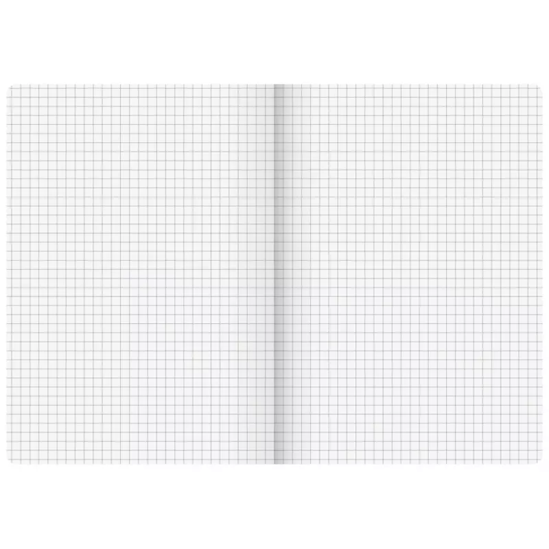 Brunnen FACT!plus A5 kariertes Notizbuch 96 Blatt Braun