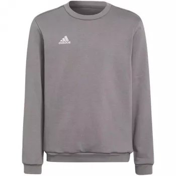 adidas Entrada 22 Sweat Top Kinder Grau Sweatshirt H57477 (116 cm)