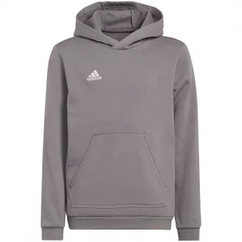 adidas Entrada 22 Hoody Kinder-Sweatshirt Grau 116 cm