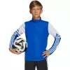 adidas Squadra 25 Trainingsjacke Kinder Blau 152cm