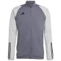 adidas Tiro 23 Competition Herren-Trainings-Sweatshirt Grau HP1908