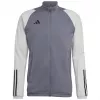 adidas Tiro 23 Competition Herren-Trainings-Sweatshirt Grau HP1908