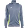 adidas Tiro 24 Training Herren-Sweatshirt Grau IV6939 S