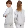 adidas Squadra 25 Sweat Crew Kinder-Sweatshirt Grau JD4824 152cm