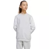 adidas Squadra 25 Sweat Crew Kinder-Sweatshirt Grau JD4824 152cm