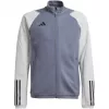 adidas Tiro 23 Competition Trainings-Sweatshirt Herren Team Grey Four