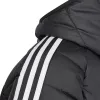adidas Tiro 24 Winter Kinderjacke Schwarz IP6670 164cm