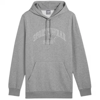 PUMA Essentials+ Logo LAB Gradient Hoodie FL Grey Herren Fleece Pullover Größe L