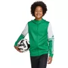 adidas Squadra 25 Hoody Kinder Grün/Weiß 164cm