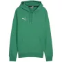PUMA Team Goal Casuals Hoody Herren Pepper Green Fleece Pullover