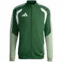 adidas Tiro 26 Competition Trainingsjacke Herren Grün XL