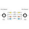 METZ CONNECT M12 D-Codiertes industrielles Ethernet-Patchkabel, 4-polig Stecker auf 4-polig Stecker, 5m, PUR Grün