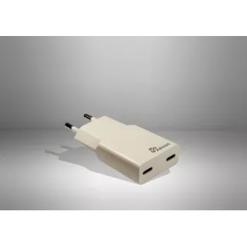 Inter-Tech Argus PD-2136 2x USB-C Slim Wandladegerät, 36W