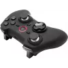 Speedlink Rait Kabelloses Gamepad für Nintendo Switch/OLED/PC/Android (SL-330402-RRBK)