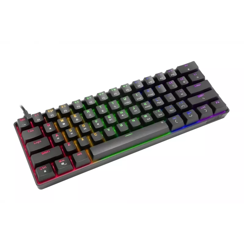 Speedlink Atmos RGB Rainbow Tastatur, US-Layout (SL-670015-BK-US)