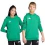 adidas Entrada 26 Kinder-Hoodie - Grün - Größe 164cm (Jugend XL) JZ6563