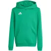 adidas Entrada 26 Kinder-Hoodie - Grün - Größe 164cm (Jugend XL) JZ6563