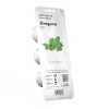 Click & Grow Oregano-Pflanzkapseln, 3 Kapseln (SGR31X3)