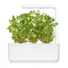 Click & Grow Oregano-Pflanzkapseln, 3 Kapseln (SGR31X3)