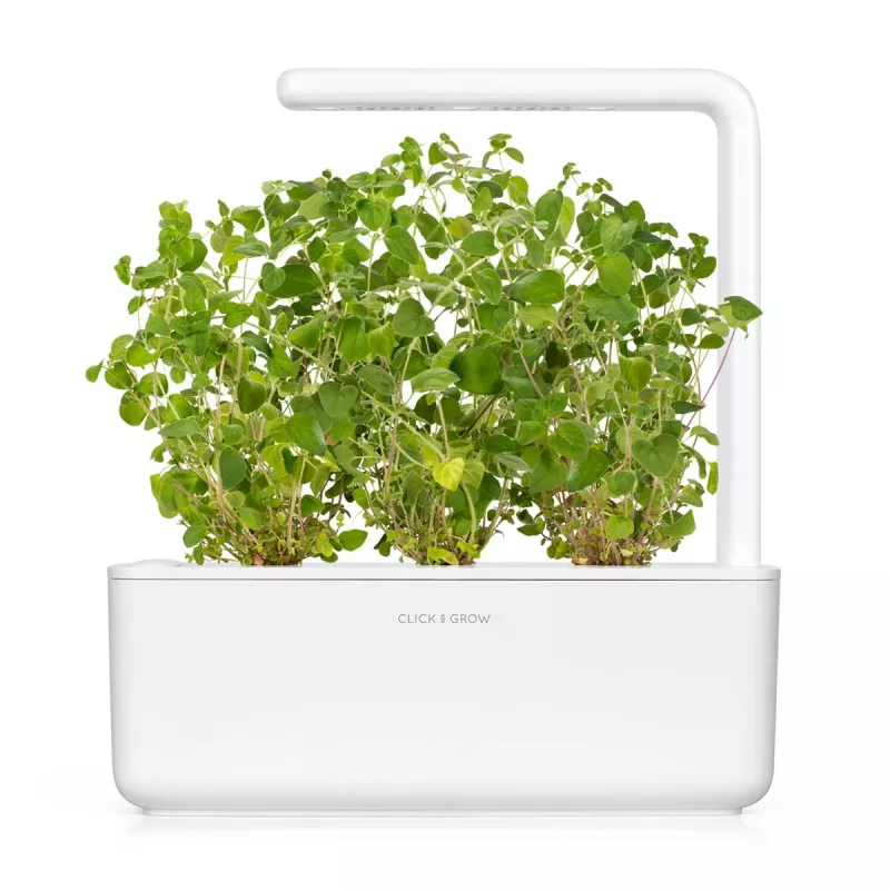 Click & Grow Oregano-Pflanzkapseln, 3 Kapseln (SGR31X3)