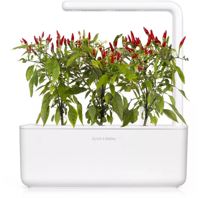 Click & Grow Piri-Piri-Chili Pflanzenkapseln für Smart Garden, 3er-Pack (SGR67X3)