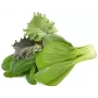Click & Grow PPMAGX9 Smart Garden Pflanzenkapseln 9er-Pack (gemischte Sorten, biologisch abbaubar, mit Hauben)