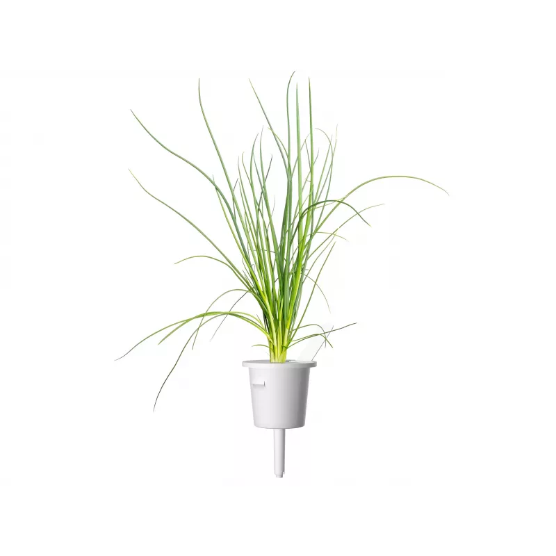 Click & Grow Smart Garden Nachfüllpackung, 3 Pflanzentöpfe (SGR105X3)