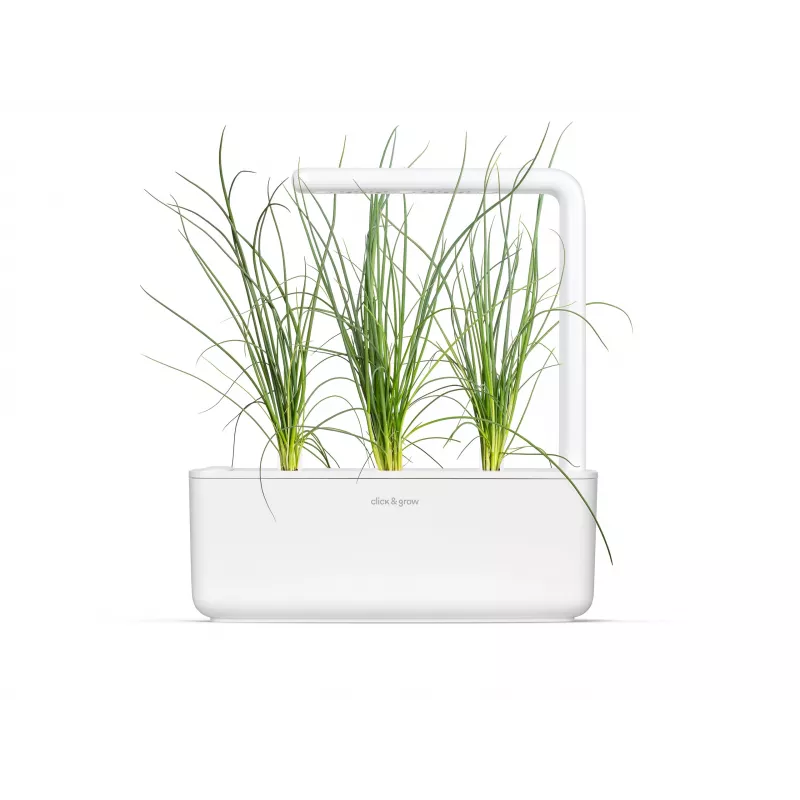 Click & Grow Smart Garden Nachfüllpackung, 3 Pflanzentöpfe (SGR105X3)