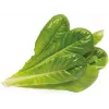 Click & Grow SGR50X3 Salat Pflanzenkapseln Nachfüllpackung (3er-Pack)