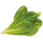 Click & Grow SGR50X3 Salat Pflanzenkapseln Nachfüllpackung (3er-Pack)
