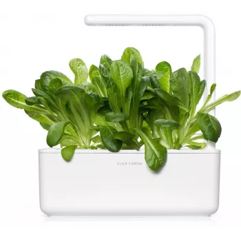 Click & Grow SGR50X3 Salat Pflanzenkapseln Nachfüllpackung (3er-Pack)